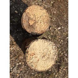 White-rotten Breeding Wood  XL soft decayed