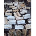 White-rotten Breeding Wood S soft decayed