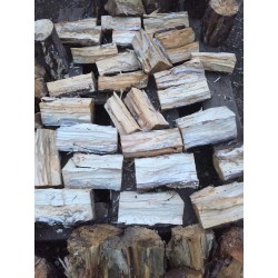 White-rotten Breeding Wood S medium decayed