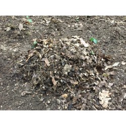 Leaf Litter Substrate 10l 
