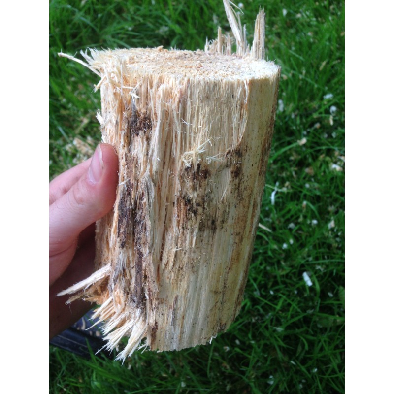 flake soil substrate breeding beetle food feeding