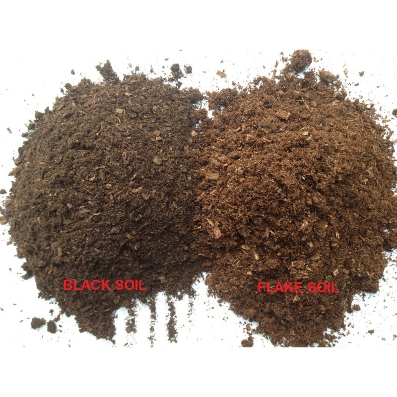 Acheter Black Soil pour coleopteres come Megasoma, Dynastes, Xylotrupes
